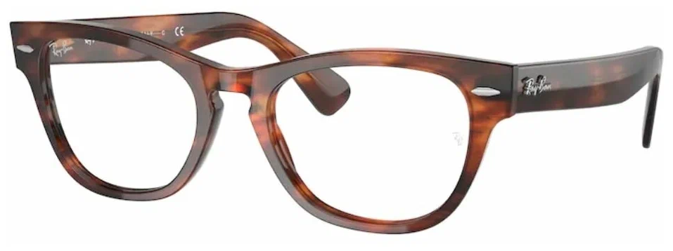 Оправы Ray-Ban RB 2201V 2144 54 в Краснодаре Оправы Ray-Ban RB 2201V 2144 54